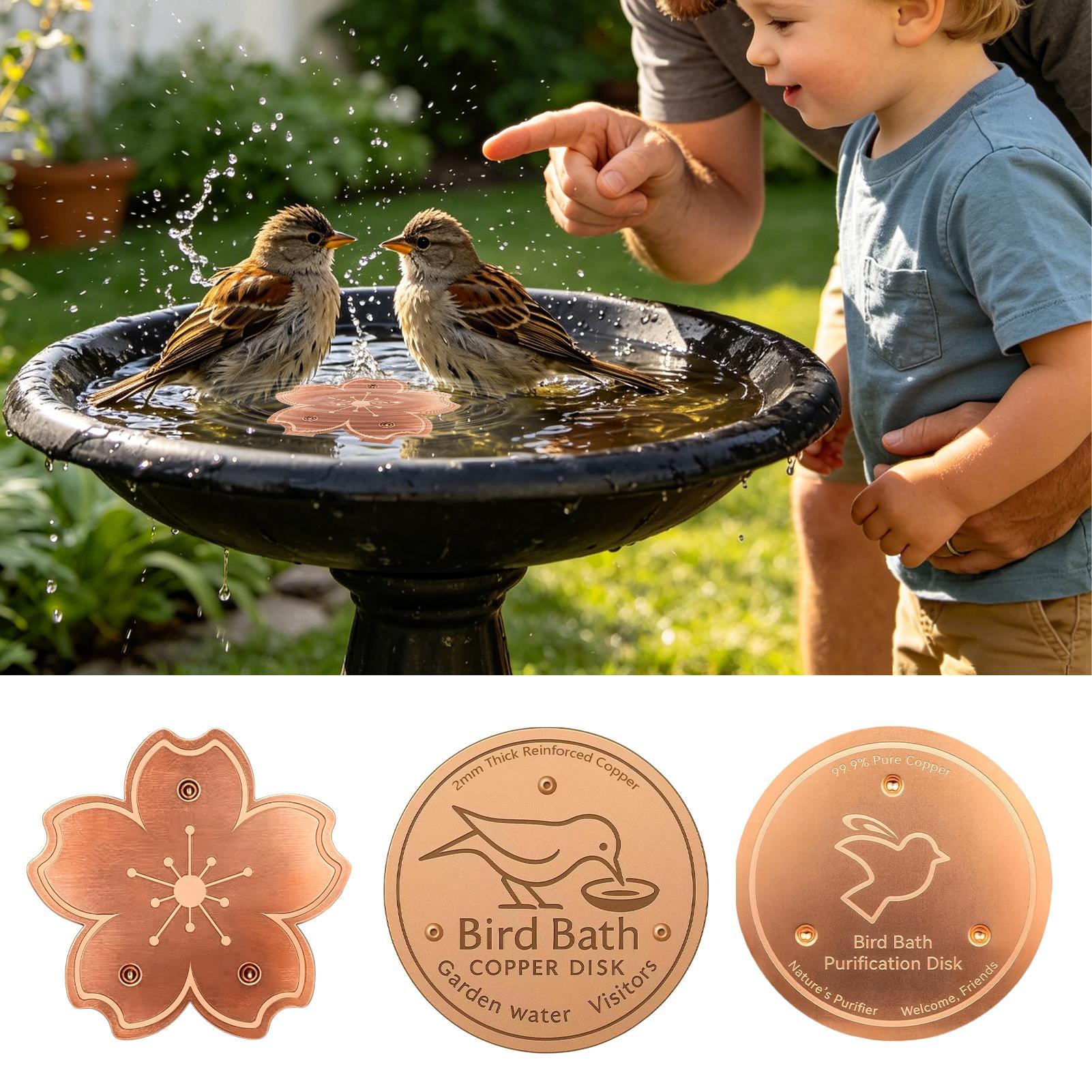 Copper For Bird Bath Safe Puri - Watches Original review and price